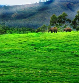 Munnar